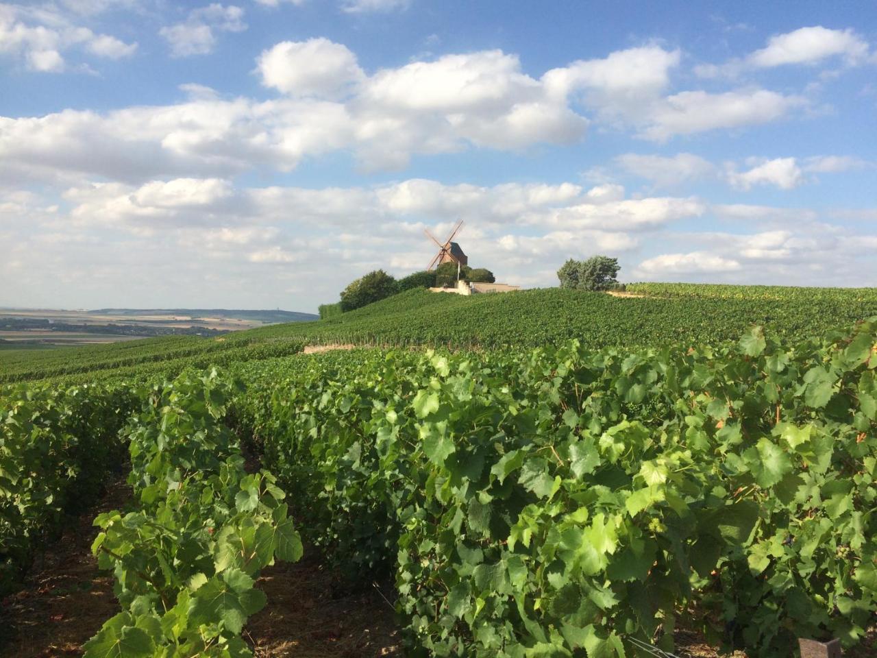 Les Suites Champenoises Tinqueux Kültér fotó
